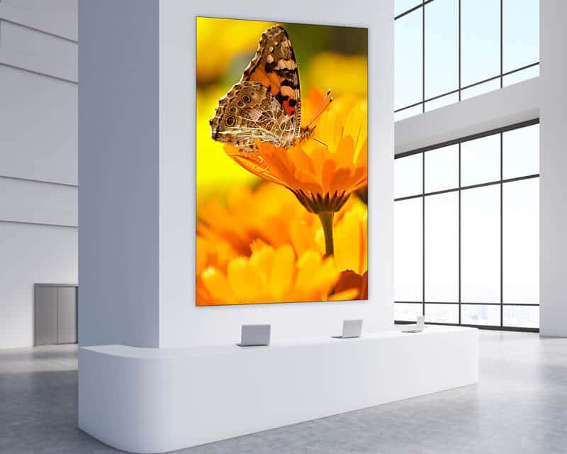 seamless led video wall in corporate lobby showing butterfly on flower